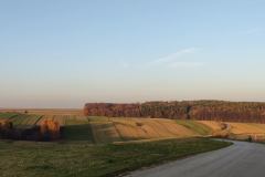 Dłubniański Park Krajobrazowy